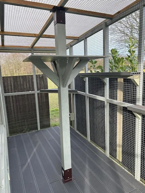 Ranpura Farm Cattery - Ashford pet otel görseli 3