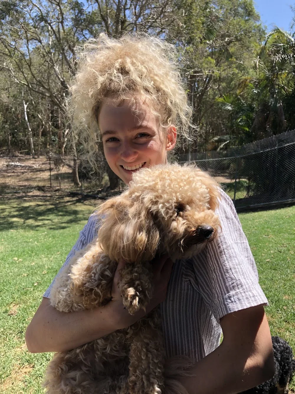 Chandler Boarding Kennels - Ashgrove pet otel görseli 7