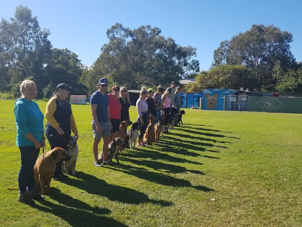 Coltrandi Pet Boarding & Training Centre kennels Cattery - Ashgrove pet otel