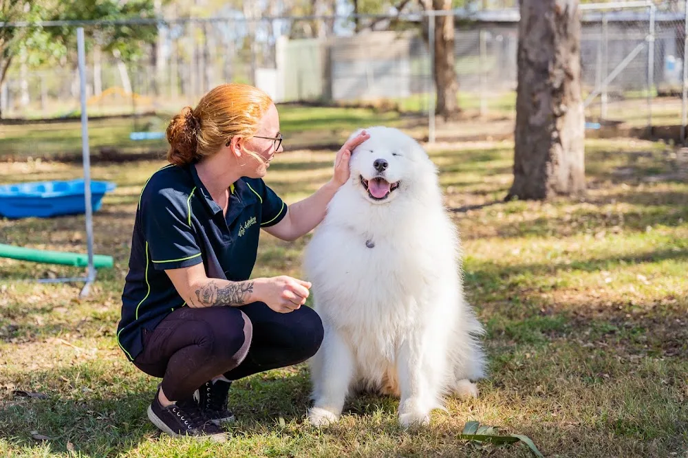 Dolittles Pet Retreats- Brisbane South - Ashgrove pet otel görseli 7