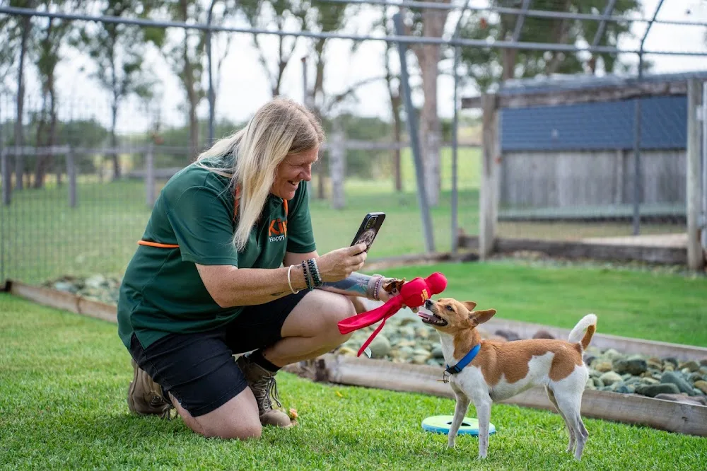 Kip Imparra Cat & Dog Boarding - Ashgrove pet otel görseli 3