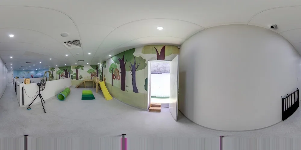 Mr Teddy Bear - Ashgrove pet otel görseli 3