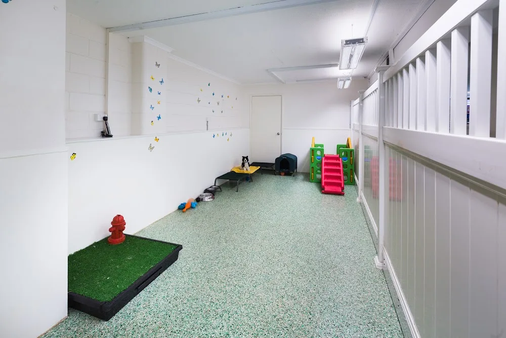 Paddington Pups - Ashgrove pet otel görseli 3