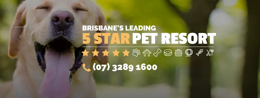 Pet Resorts Australia Samford - Ashgrove pet otel görseli 6
