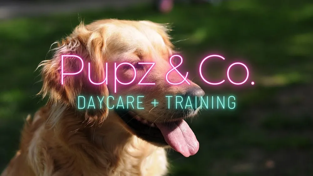 Pupz & Co. Daycare & Training - Ashgrove pet otel görseli 2