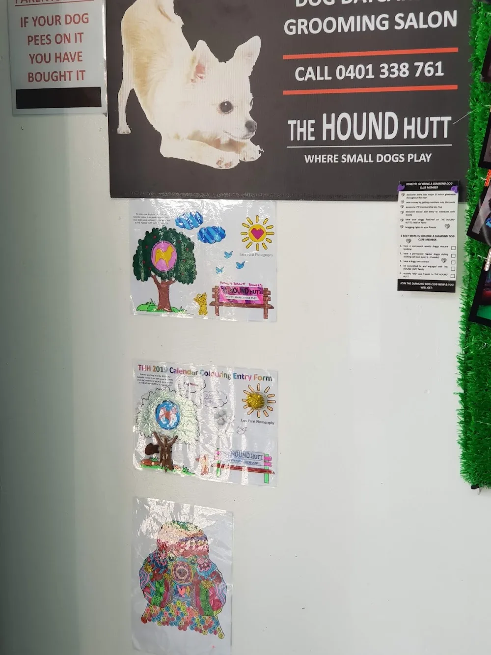 The Hound Hutt - Ashgrove pet otel görseli 3