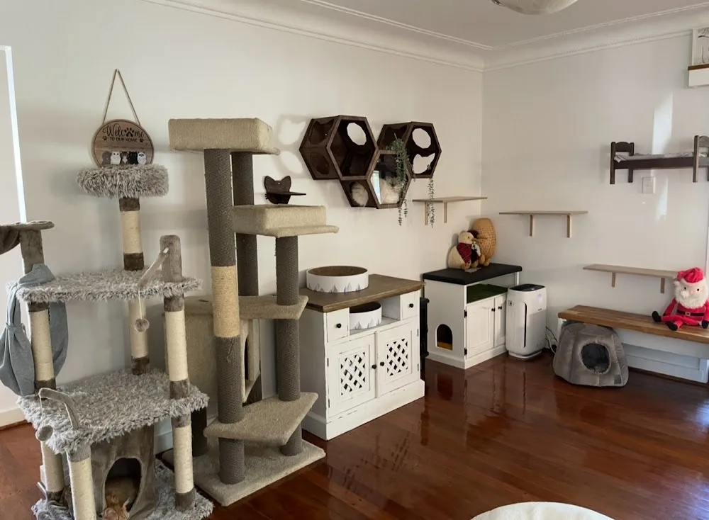 Yoko Zoo Hotel - Ashgrove pet otel görseli 2