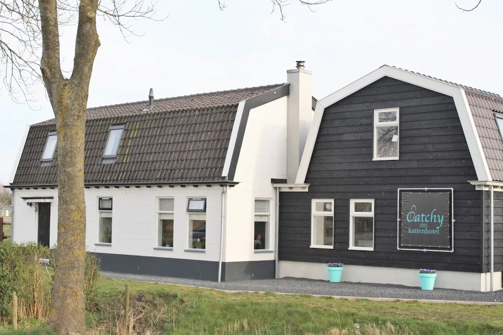 Kattenhotel Catchy - Assendelft pet otel