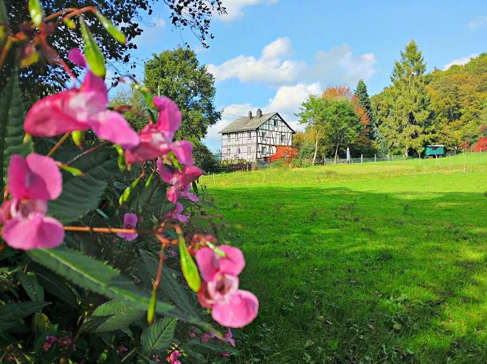 Hundepension Akira - Aßlar pet otel