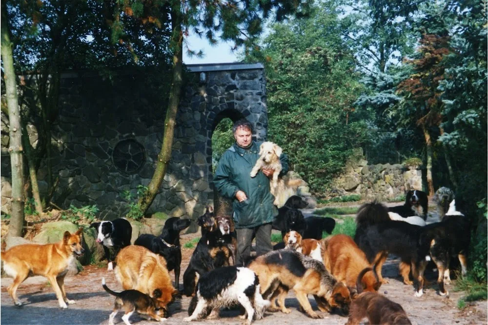 Hundepension Neumühle - Aßlar pet otel görseli 2