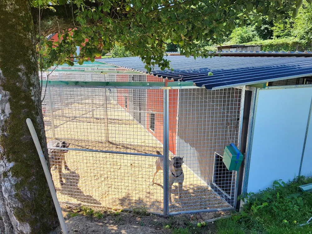 Hundepension Wilhelmswalze - Aßlar pet otel