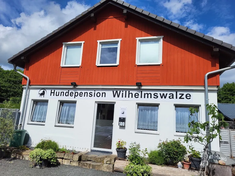 Hundepension Wilhelmswalze - Aßlar pet otel görseli 3