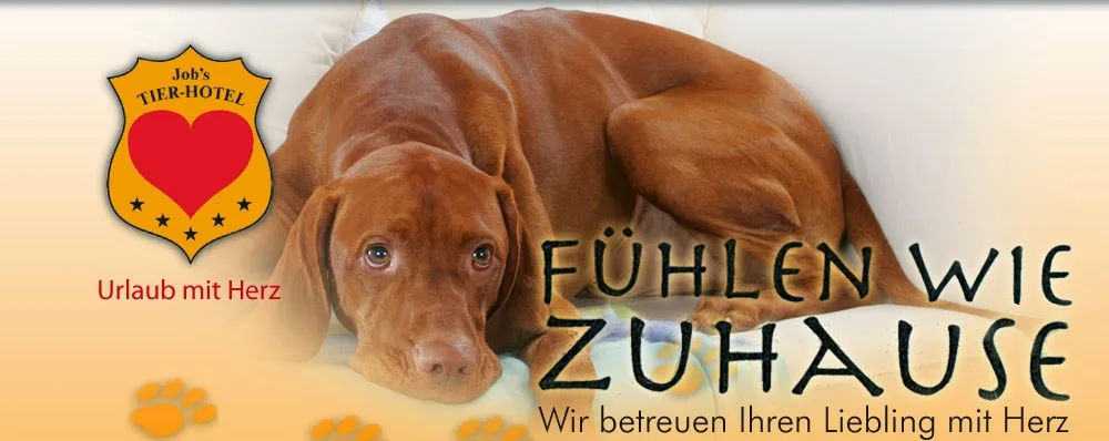 Job’s Tier-Hotel - Buchholz (Dibbersen) - Aßlar pet otel