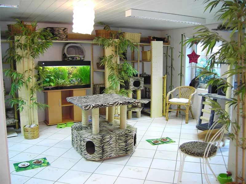Katzenpension Meisenfelder Inh. Ilka France - Aßlar pet otel