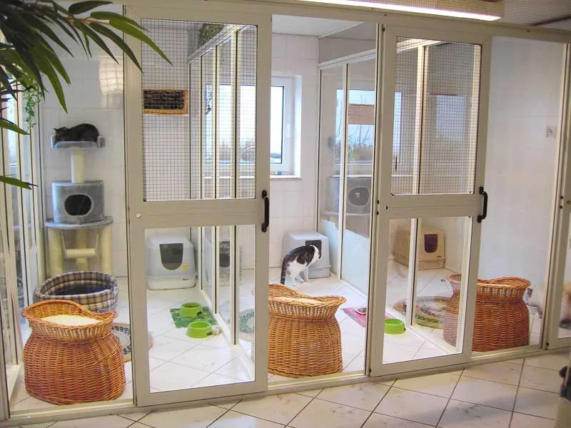 Katzenpension Meisenfelder Inh. Ilka France - Aßlar pet otel görseli 3