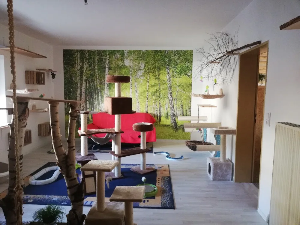 Katzenpension-Pfotentreff-Wenzel - Aßlar pet otel