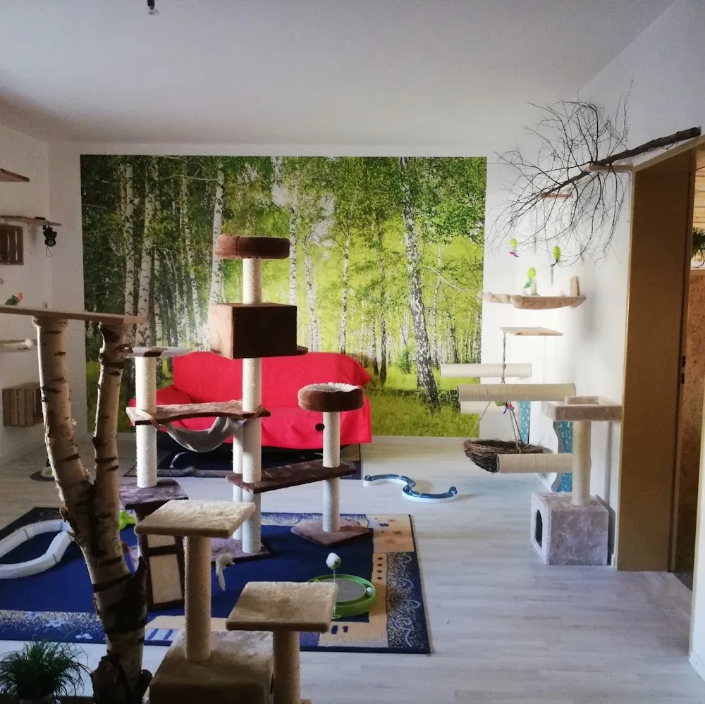 Katzenpension-Pfotentreff-Wenzel - Aßlar pet otel görseli 3