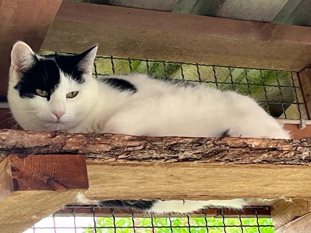 Rasdorfer Felltreff - Aßlar pet otel