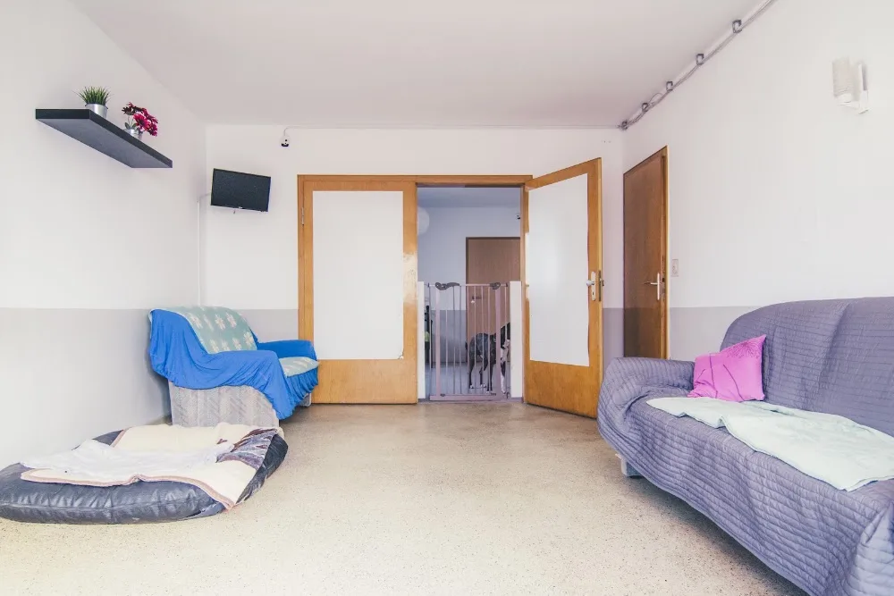 the doghouse - Ihr professioneller Hundeservice - Aßlar pet otel görseli 2