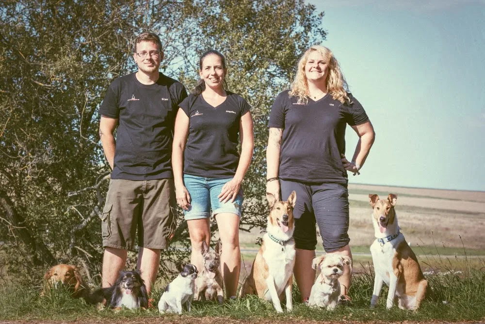 the doghouse - Ihr professioneller Hundeservice - Aßlar pet otel görseli 3