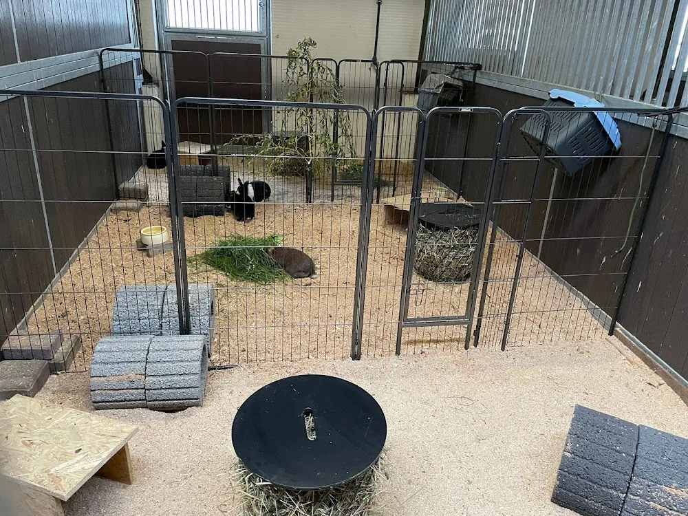 Tierhotel Rhein Main - Aßlar pet otel