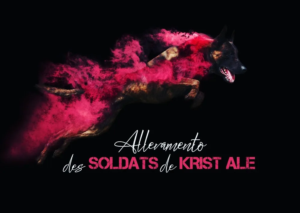 Allevamento Pensione Per Cane KristAle Asti - Asti pet otel