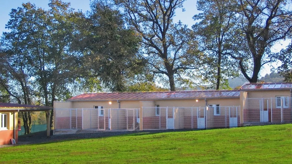Amican Asturias Escuela y Hotel Canino - Asturias pet otel görseli 3
