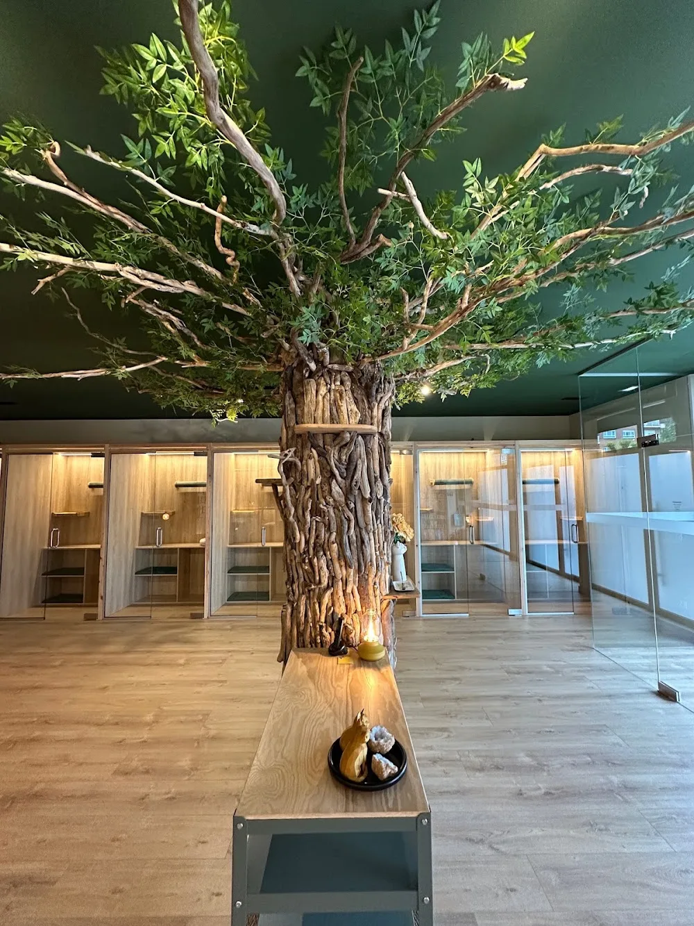 ARIGATÕ espacio felino - Asturias pet otel