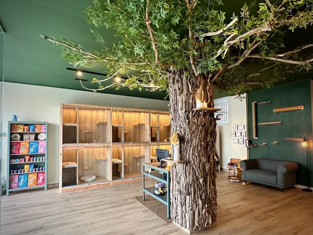 ARIGATÕ espacio felino - Asturias pet otel görseli 3