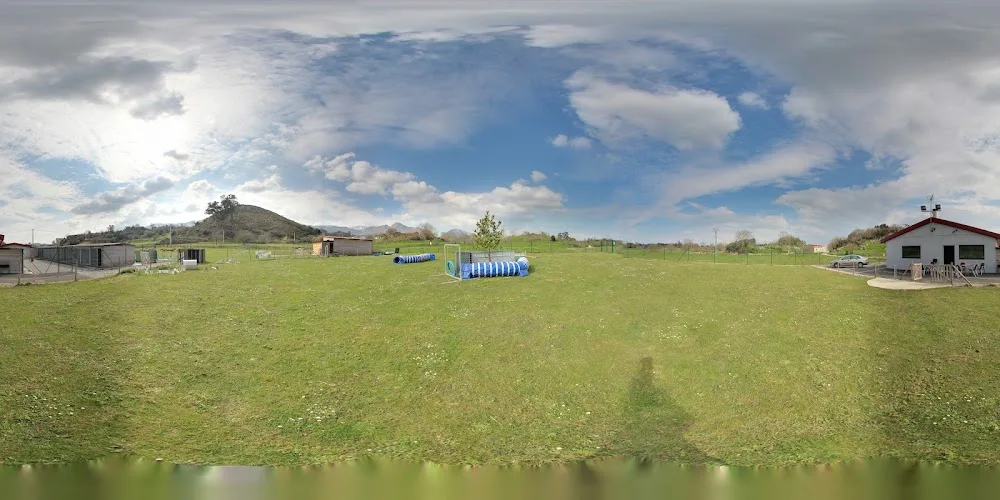 CENTRO CANINO LA ERIA S.C. - Asturias pet otel görseli 4