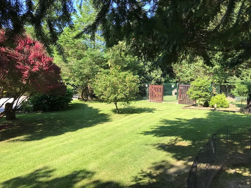 Hotel Canino Pinar del Rey - Asturias pet otel görseli 4