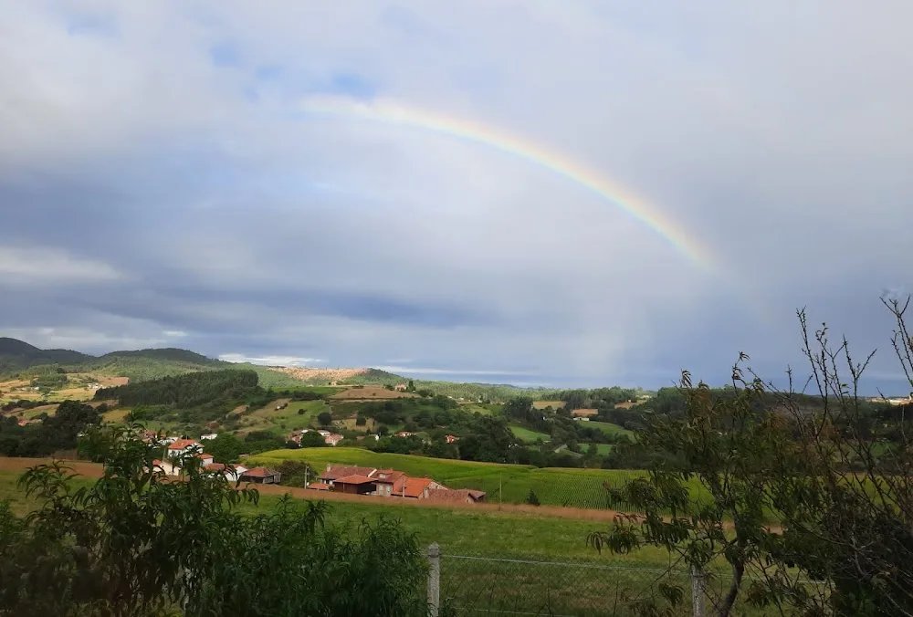 Hotel Canino Villa Astur - Asturias pet otel