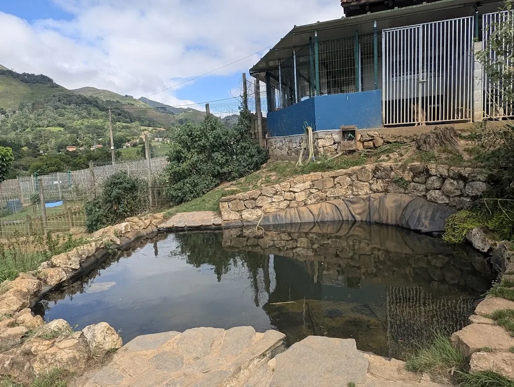La Torre Canina - Guarderia y Hotel para perros - Asturias pet otel görseli 7