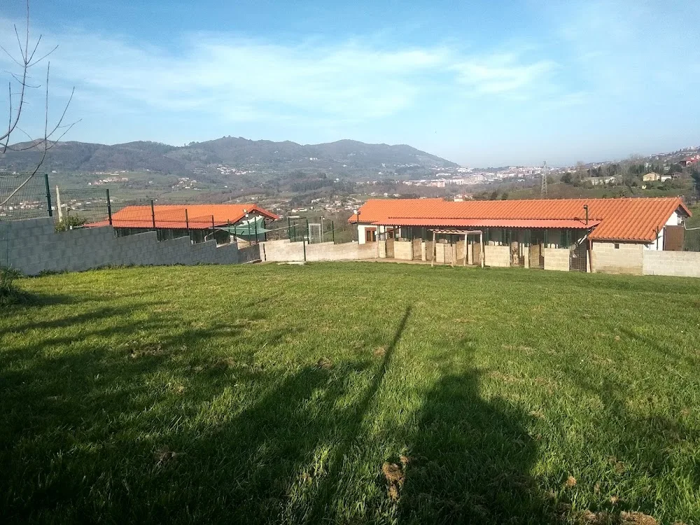 Ovi-can - Asturias pet otel görseli 3