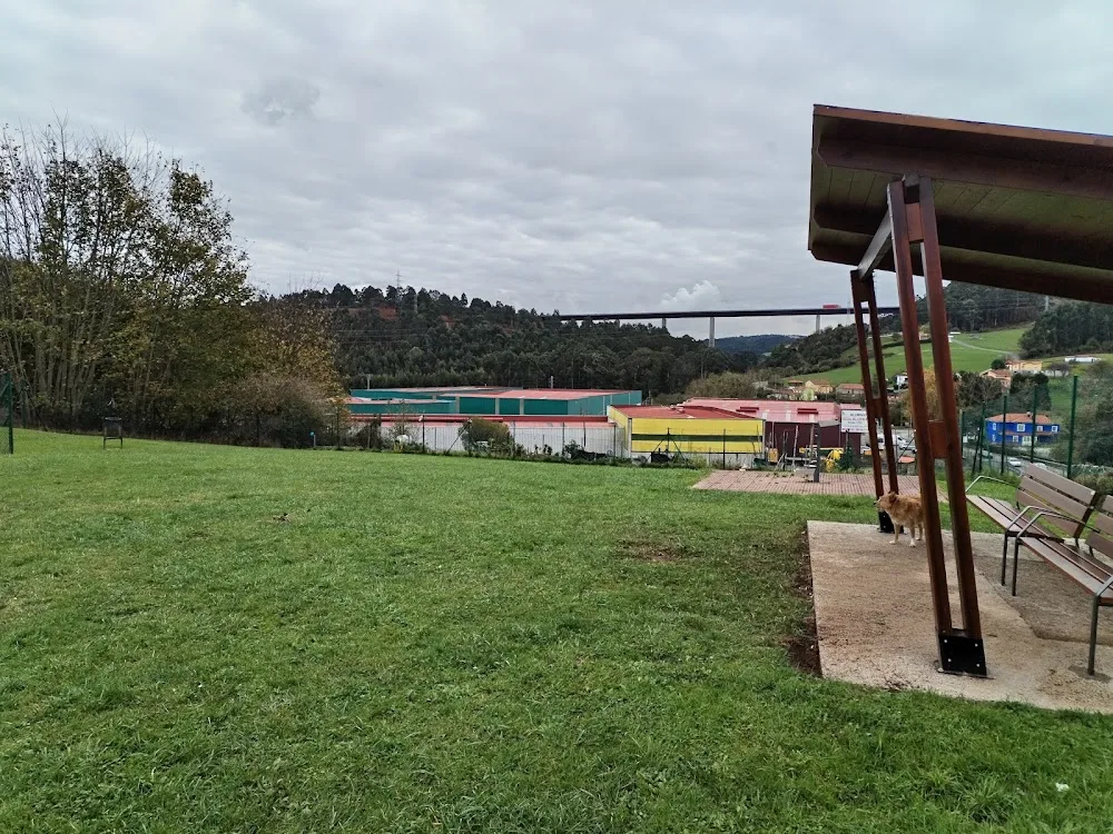 Parque canino - Asturias pet otel