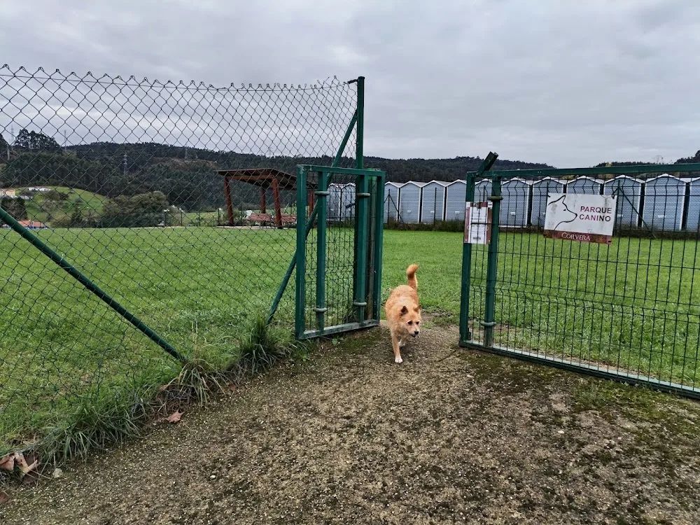 Parque canino - Asturias pet otel görseli 3