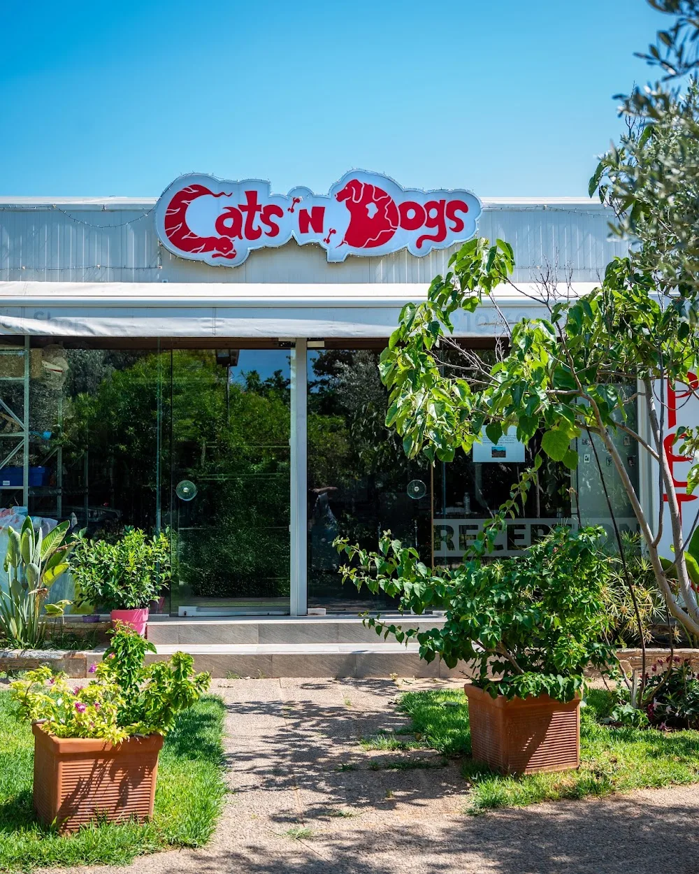 Cats n Dogs - Ξενοδοχείο Μικρών Ζώων - Athens pet otel görseli 23