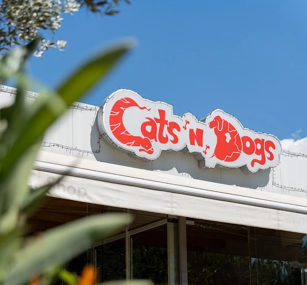 Cats n Dogs - Ξενοδοχείο Μικρών Ζώων - Athens pet otel görseli 6
