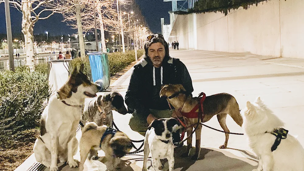 Pet Sitting by JohnMpouk - Athens pet otel