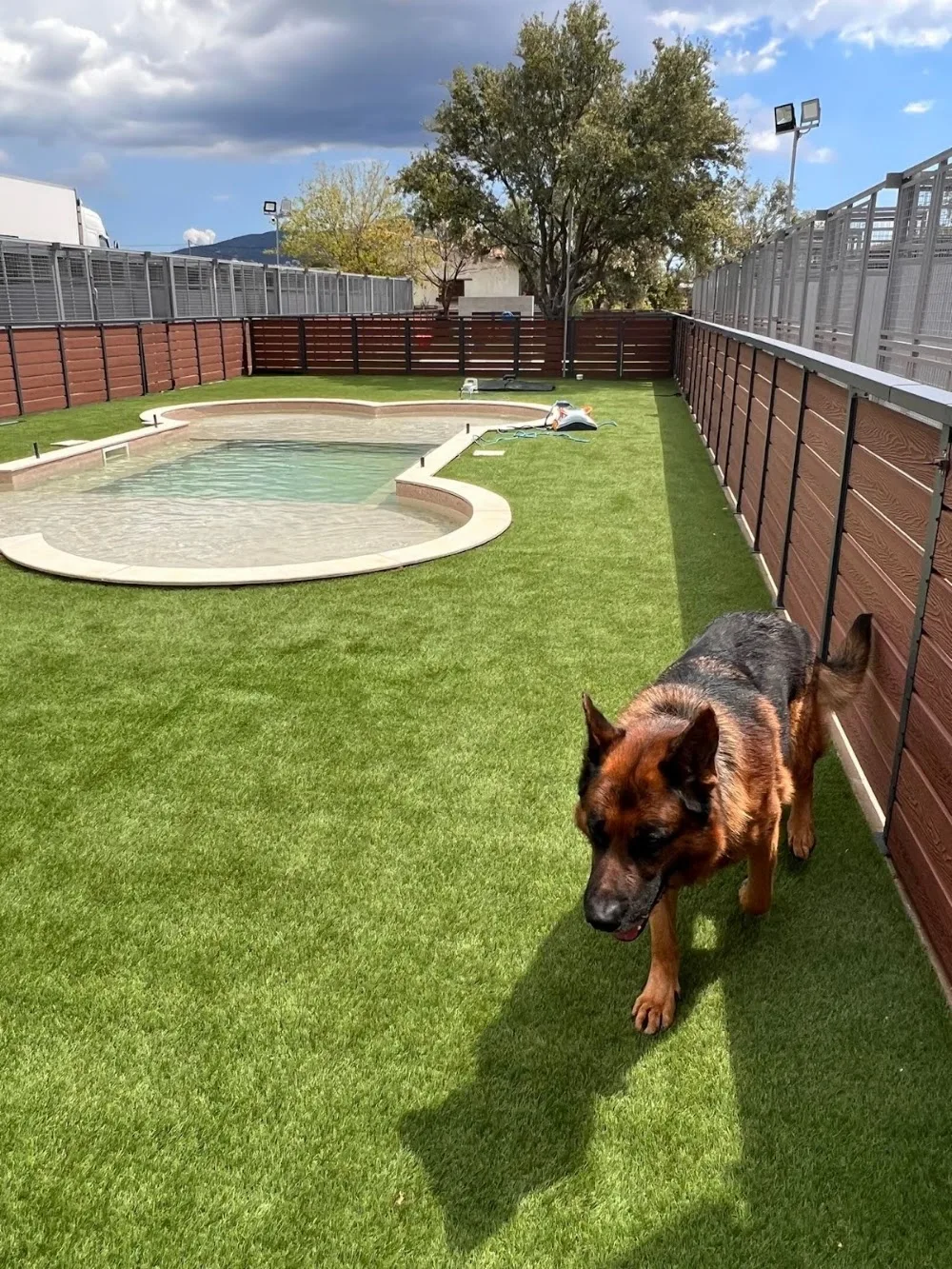 Smartdog - Athens pet otel görseli 10