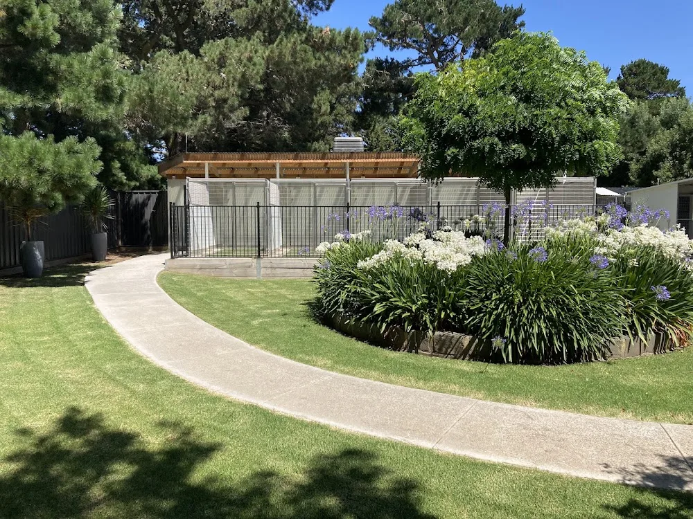 Dogdayz - Dog Boarding Greenvale - Victoria pet otel görseli 2