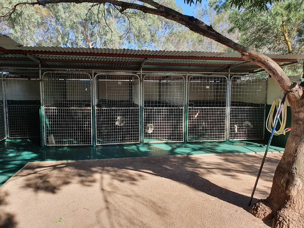 GV Boarding Kennels & Cattery - Victoria pet otel görseli 3