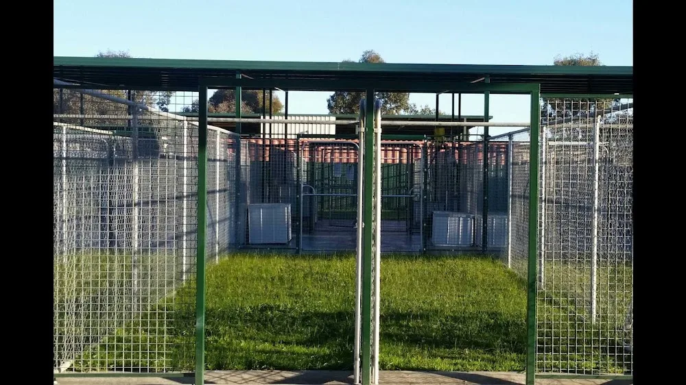 mayjoehaven boarding kennels and cattery - Victoria pet otel görseli 2