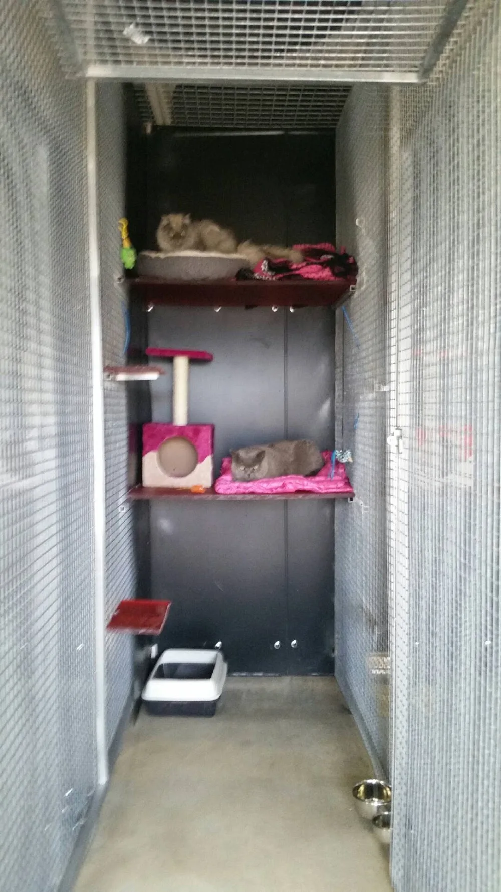 mayjoehaven boarding kennels and cattery - Victoria pet otel görseli 3