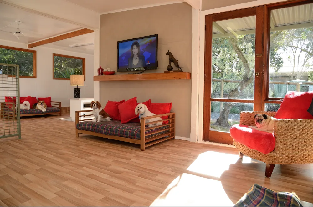 Mornington Lodge Kennels - Victoria pet otel