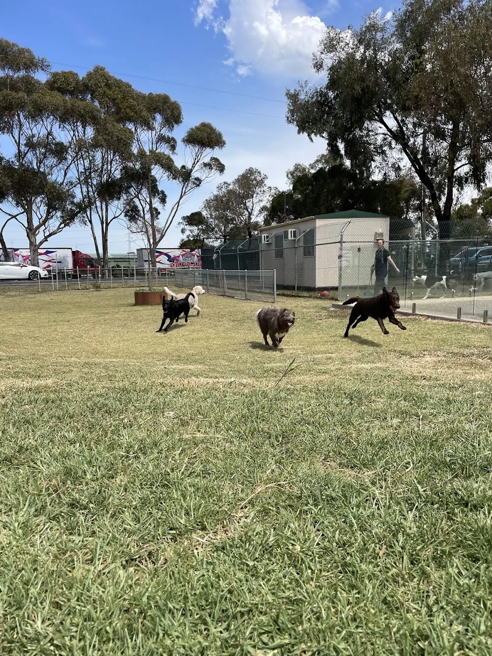 Pets Country Club - Victoria pet otel