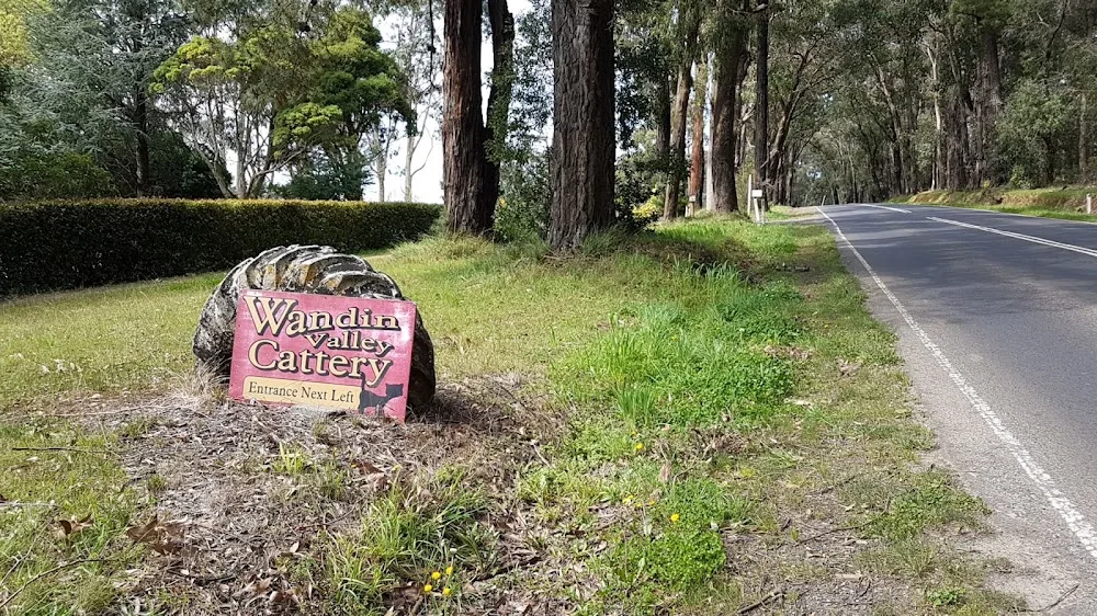Wandin Valley Cattery - Victoria pet otel görseli 2