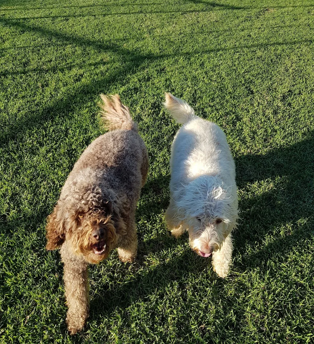 Yarrawonga Pet Resort - Victoria pet otel