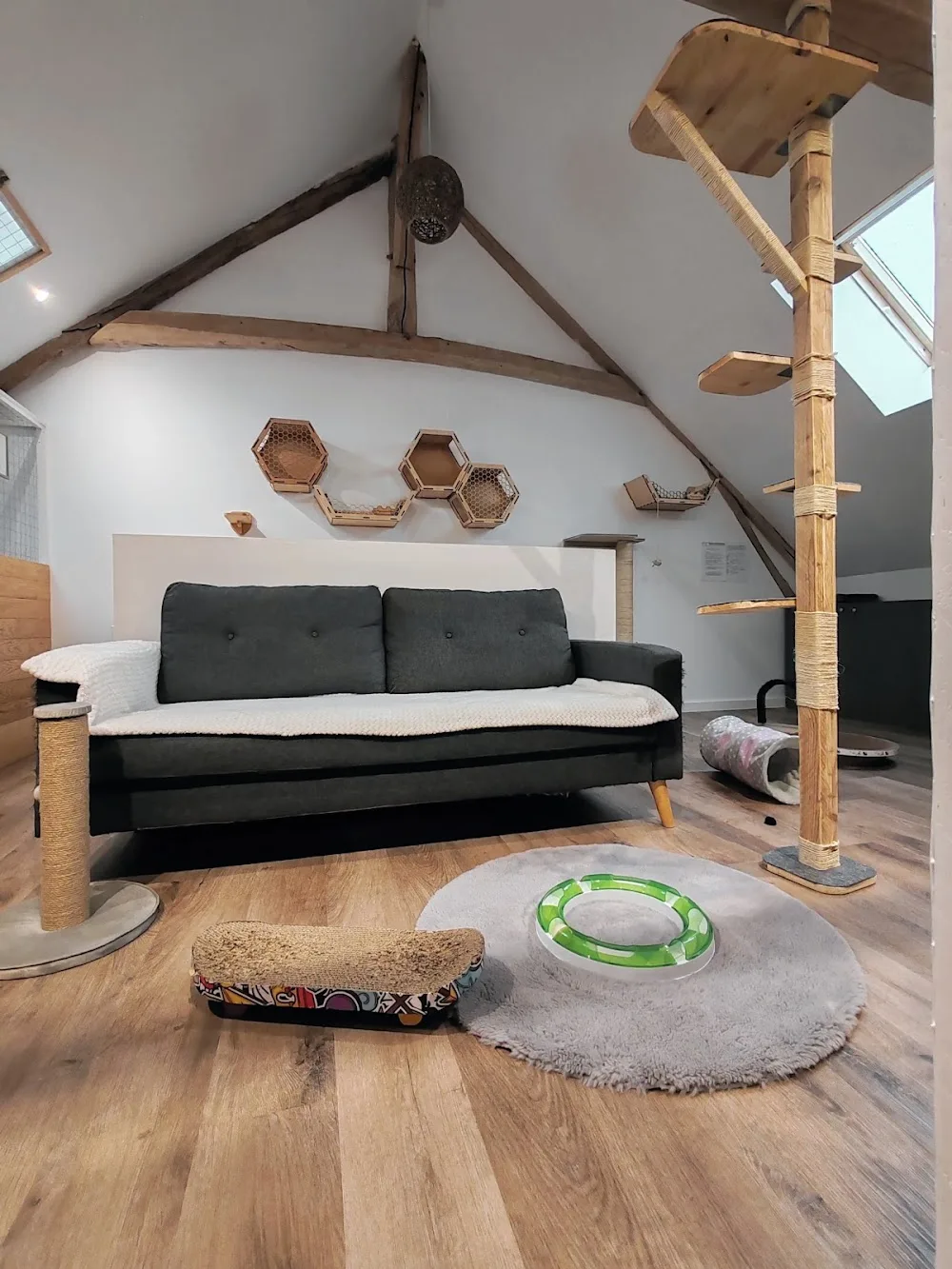 La Mignonnerie Féline - Aube pet otel