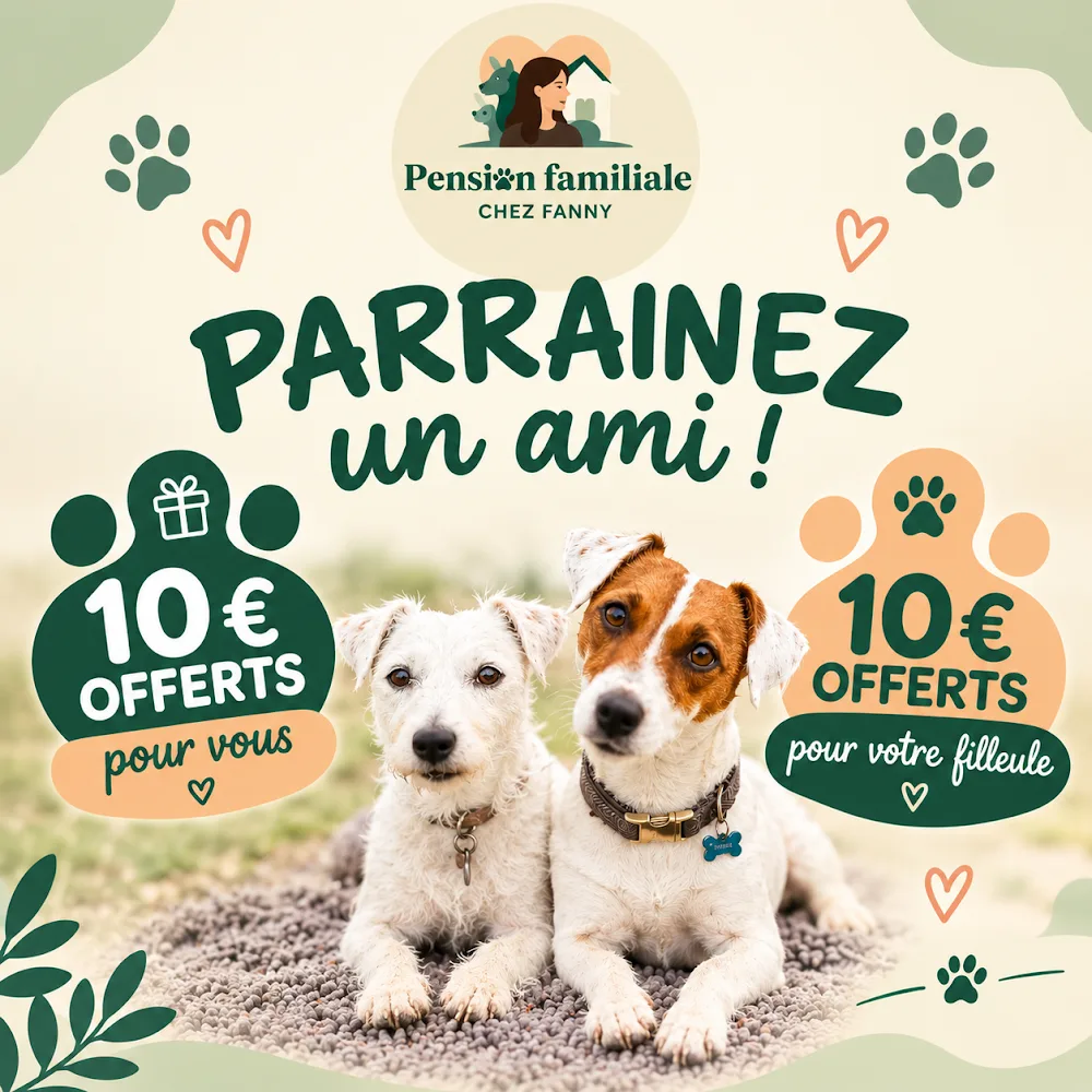 Pension Familiale Chez Fanny - Aube pet otel görseli 6